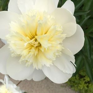 Meet your Posher, Teresa